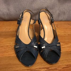 Navy Carlos Santana heels